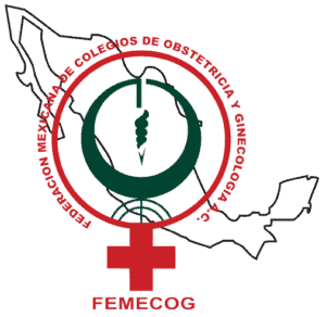 ginecologa obstetra en xalapa parte de la femecog