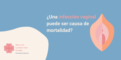 una infeccion vaginal puede ser causa de mortalidad